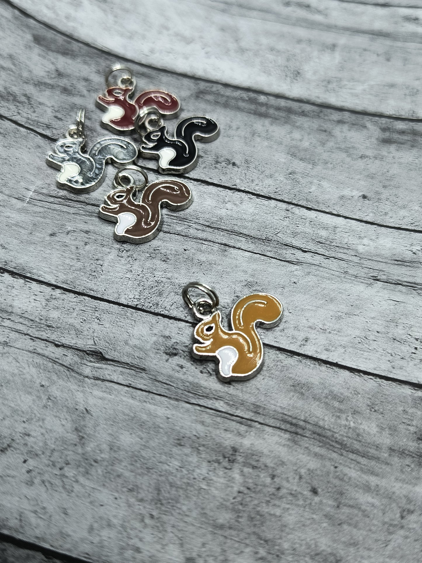 Squirrel Charms