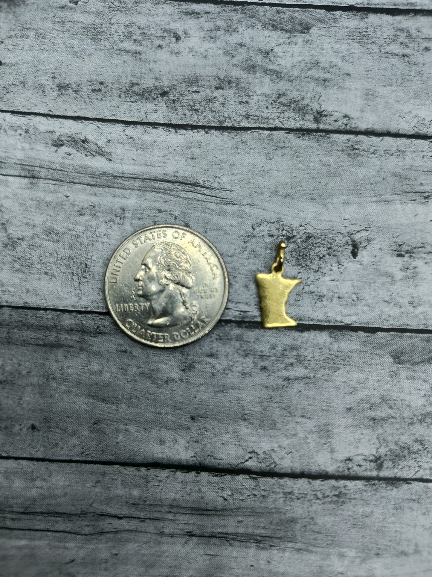 Small Minnesota Charms