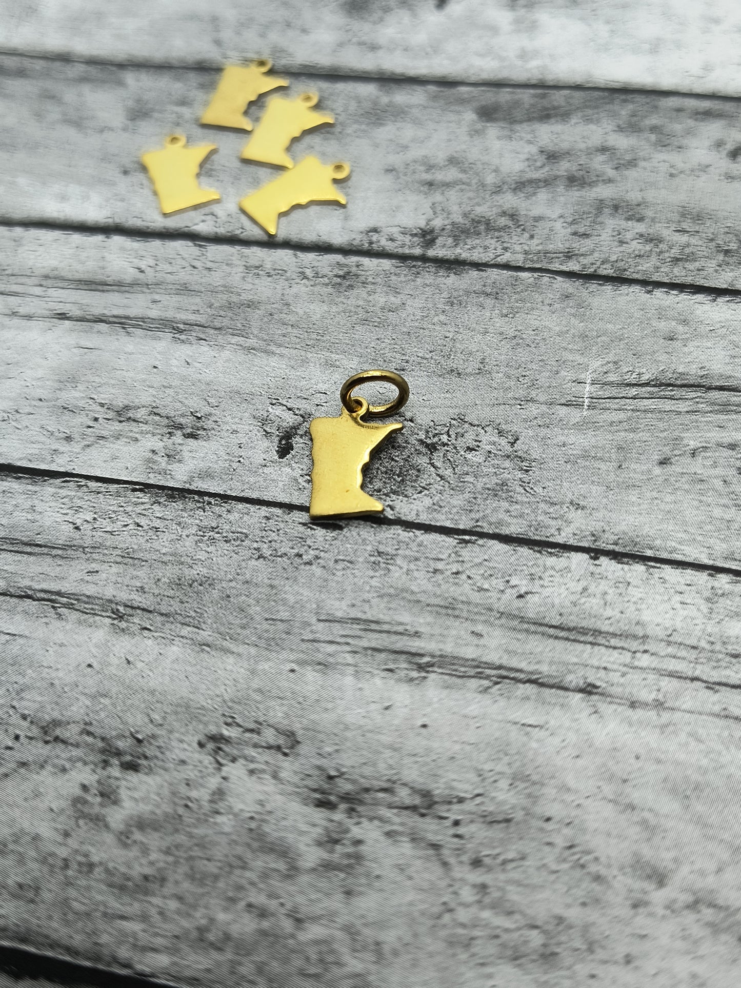 Small Minnesota Charms