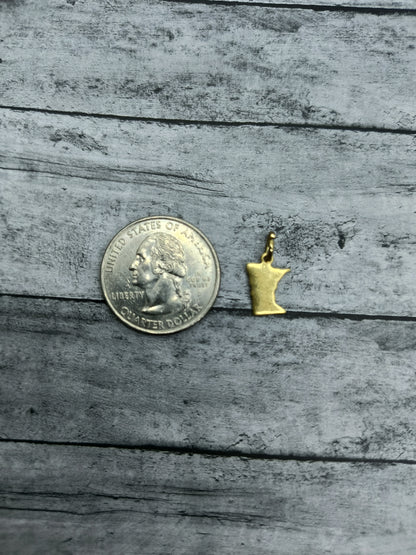 Small Minnesota Charms
