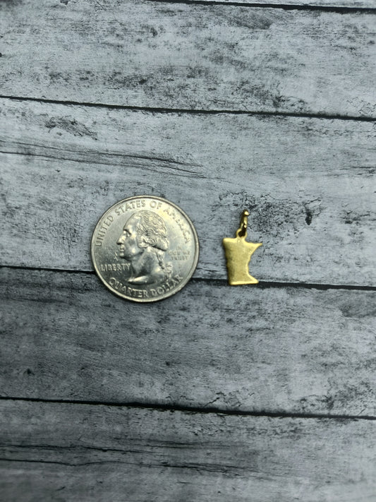 Small Minnesota Charms